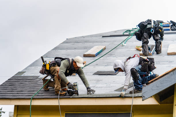 Professional Gutter Installation technician working in Quicksburg, VA